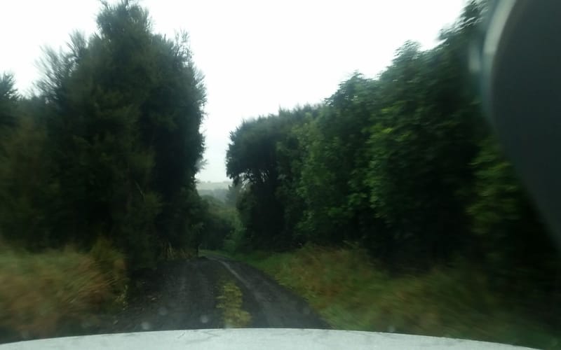88 Donovans Road