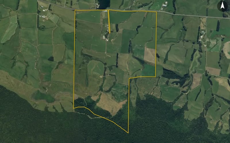 880 Niagara Tokanui Highway