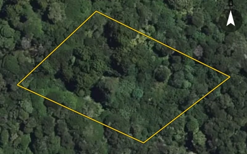 2654 Mataatua Road