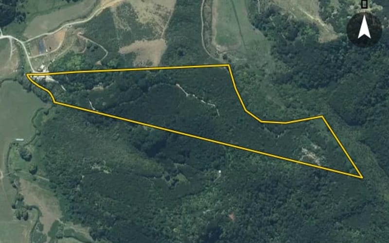279 Te Kauri Road