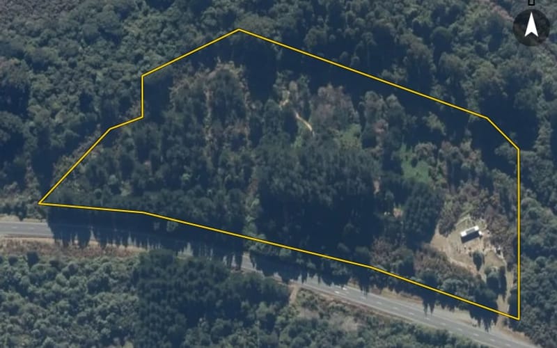 4265 Otira Highway
