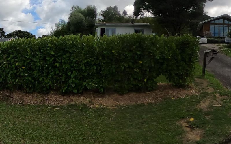 1132 Huia Road