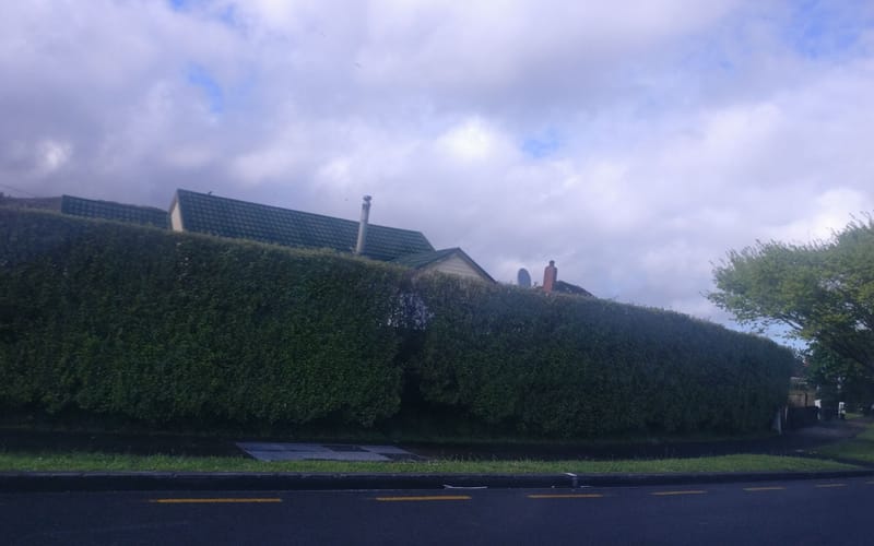 100 Naenae Road