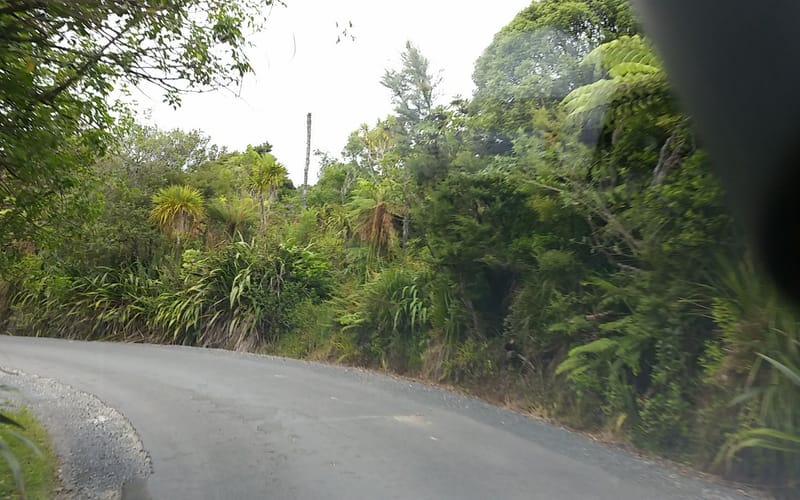 95 Anawhata Road