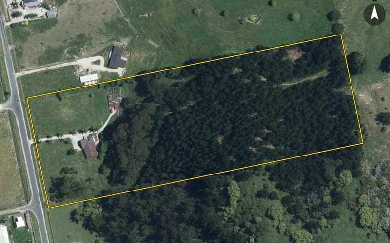 50 Domain Road