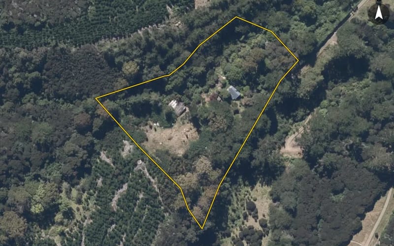 337 Pettigrews Road