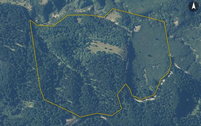327 Spey Forest Road