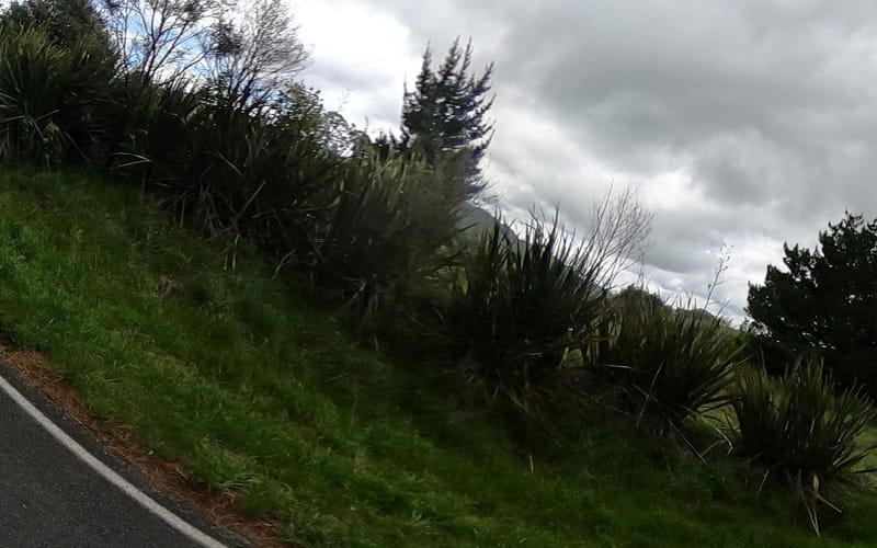 416 Te Wera Road