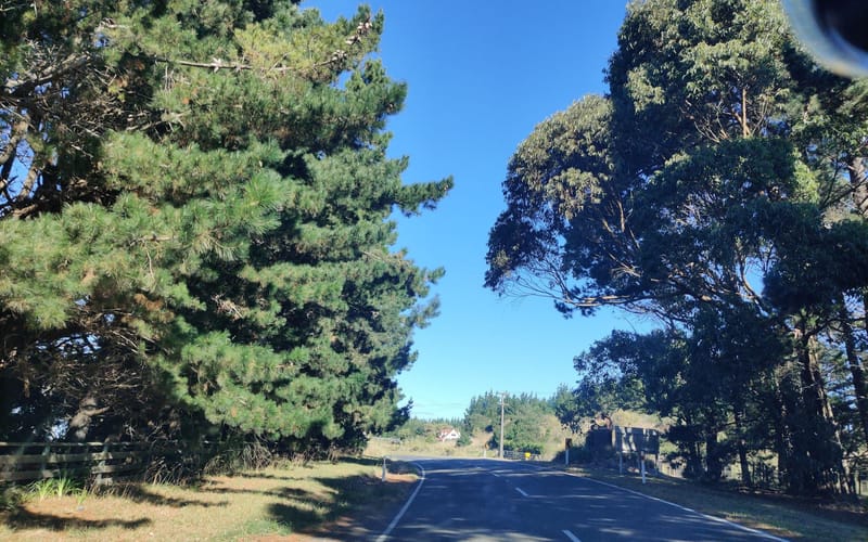 628 Himatangi Beach Road