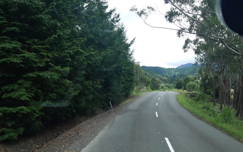 283 Onamalutu Road