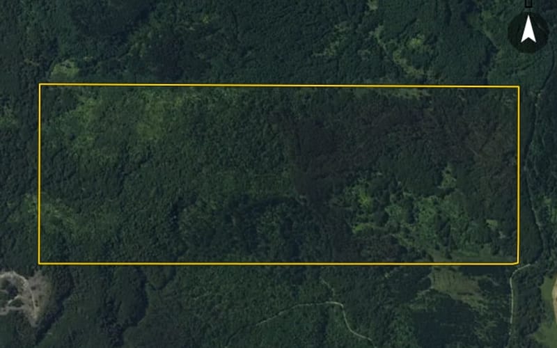 1191 Grove Burn Road