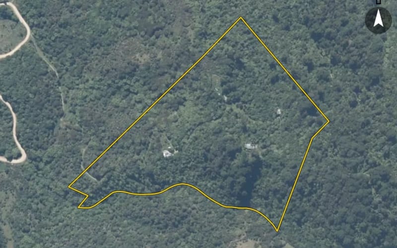345 Bird Road