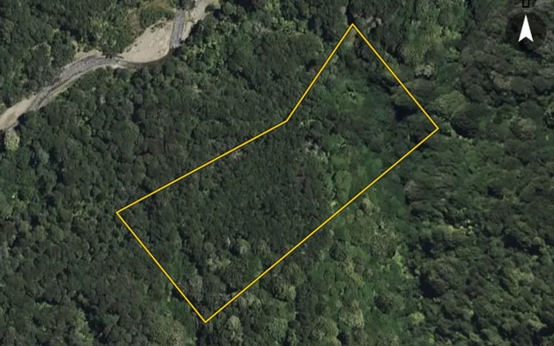 2623 Mataatua Road