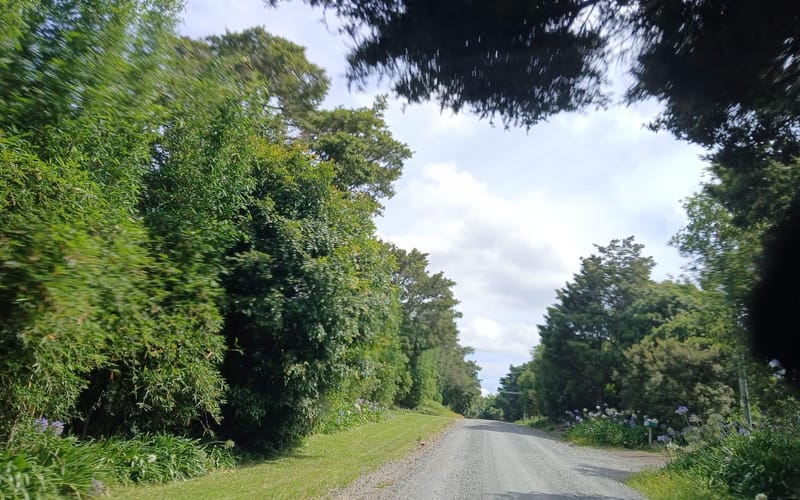 119 Bint Road
