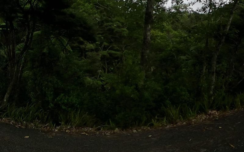 1064 Huia Road