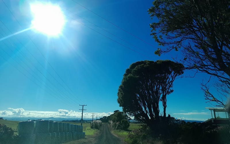 215 Pinaki Road
