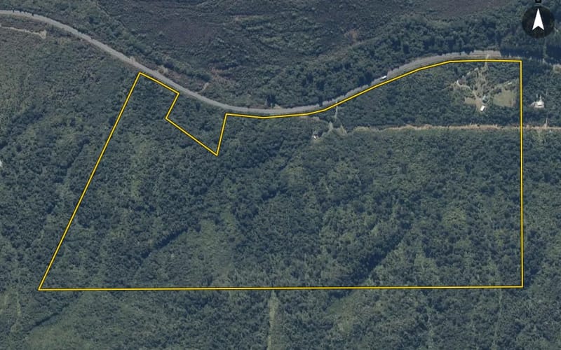 4238 Otira Highway