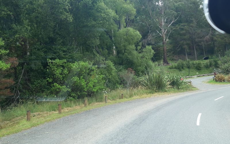 311 Onamalutu Road