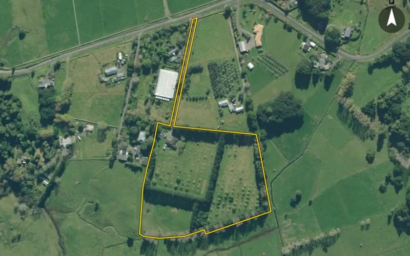 229 Tangihua Road