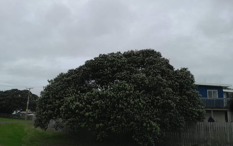 9 Te Whangai Head Road