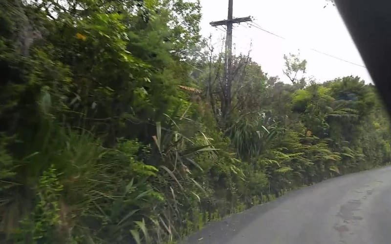 82 Anawhata Road