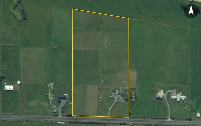 593 Rimu Road