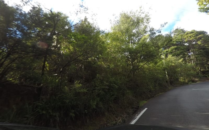 40 Whatipu Road