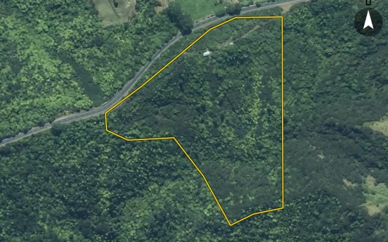 3469 Kawhia Road