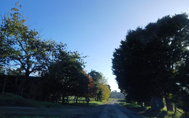 397 Central Road