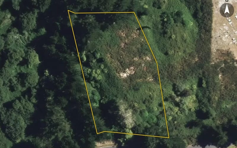 50 Minginui Road