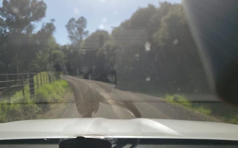 231 Holmes Bay Road