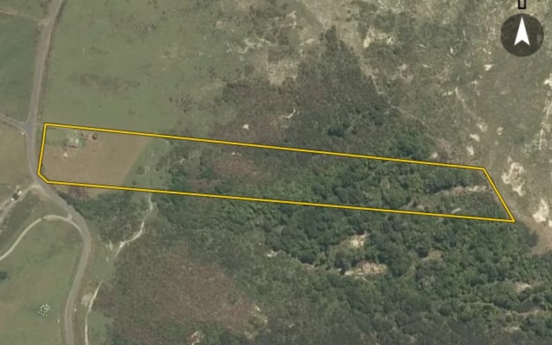 3154 Whanganui River Road