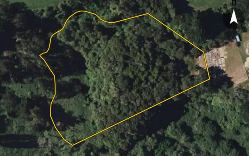 109A Mataatua Road