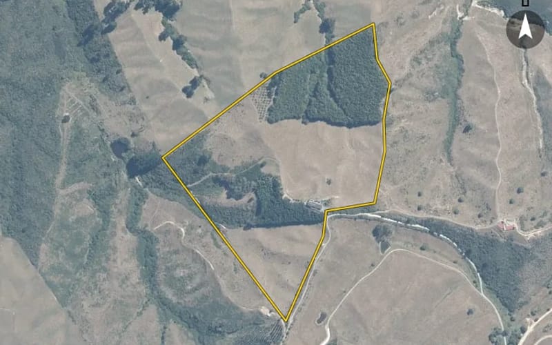 852 Neudorf Road