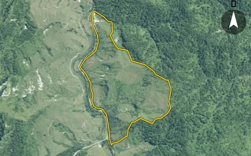 100 Kiwi Road