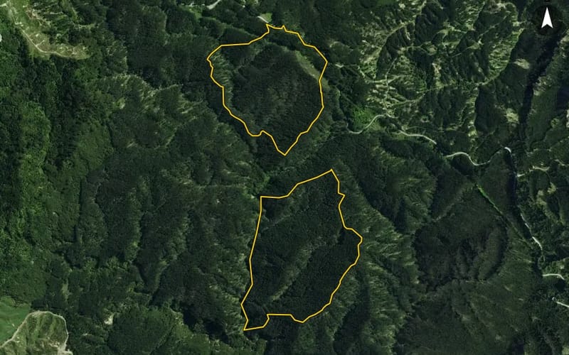 2500 Tauwhareparae Road