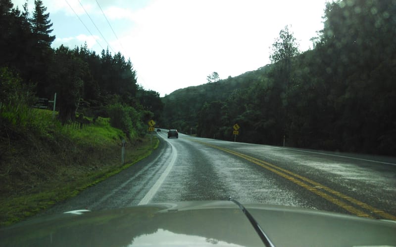 496 State Highway 1