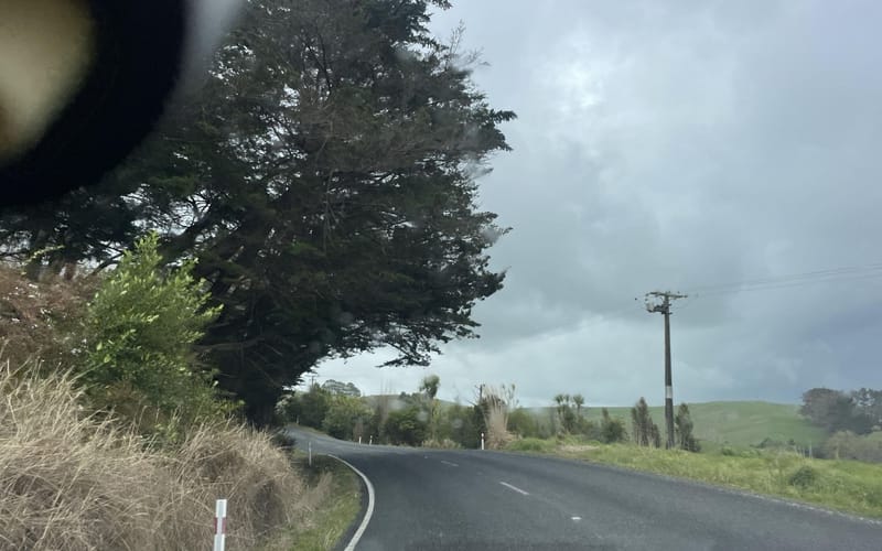 605 Whakapirau Road