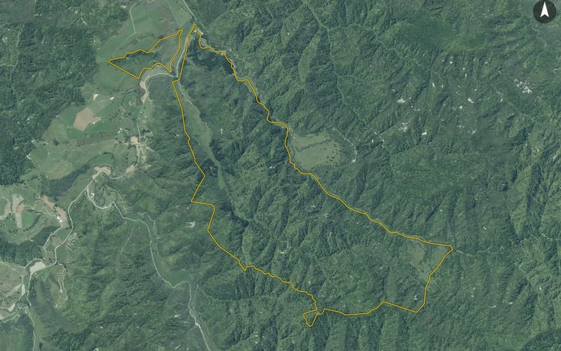 753 Piko Road
