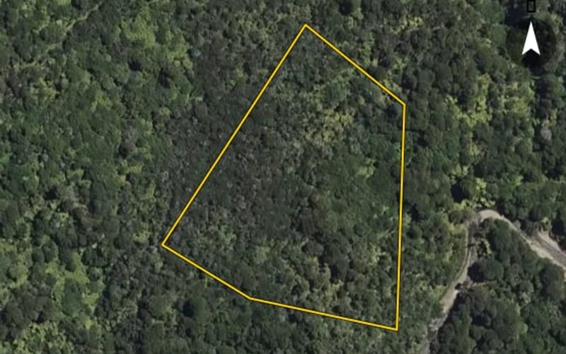 2446A Mataatua Road