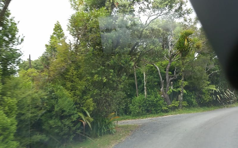 103 Anawhata Road