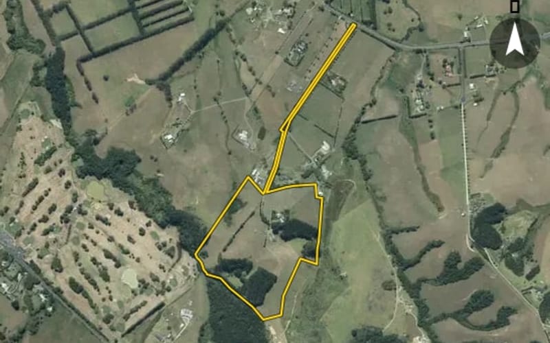 1335 Kahikatea Flat Road