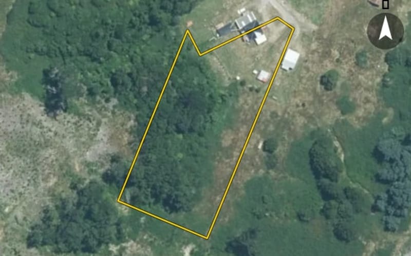 1393 Forest Road