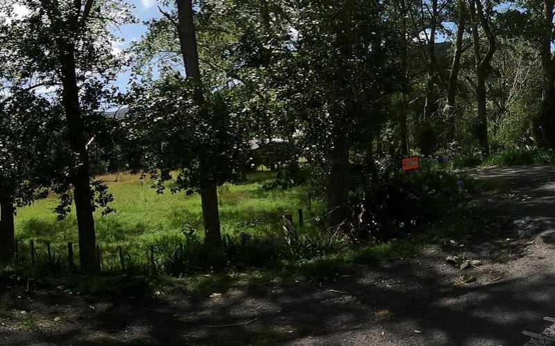 2628 State Highway 1
