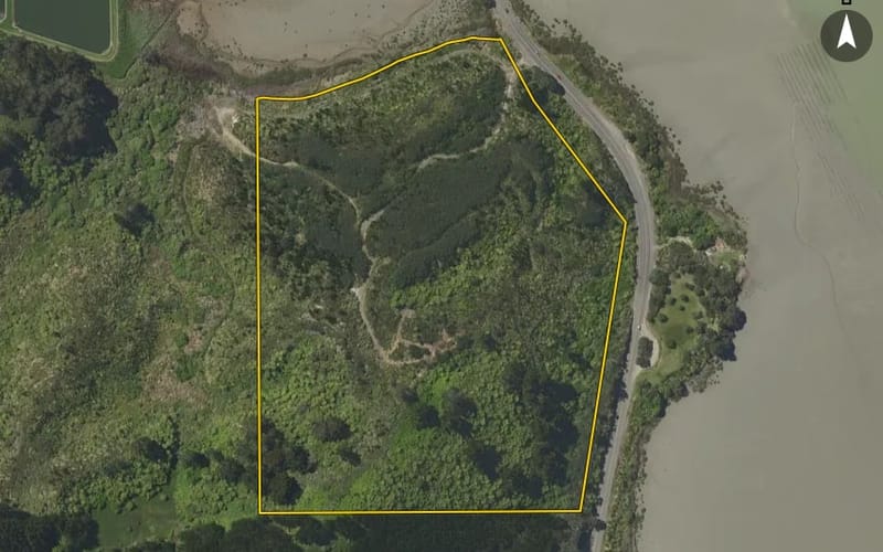160 Wainui Road