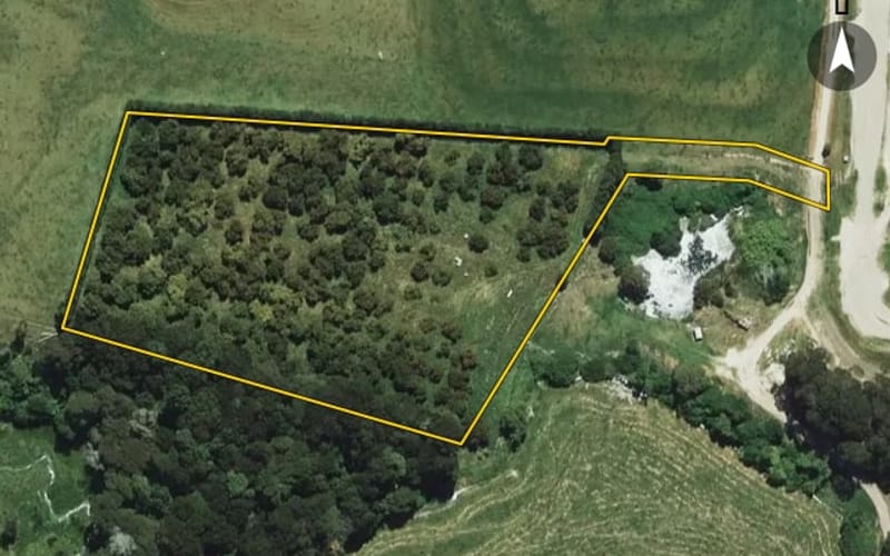32 Braemar Road