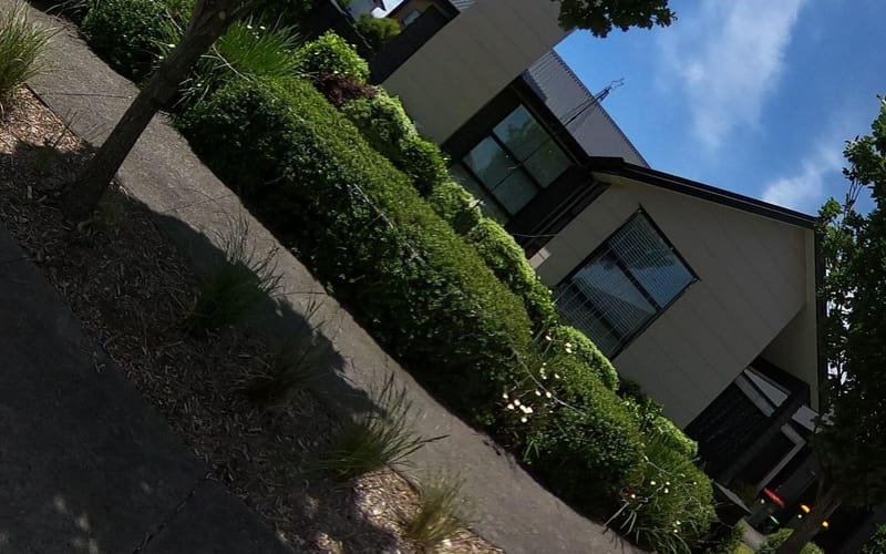 7 Buddle Road