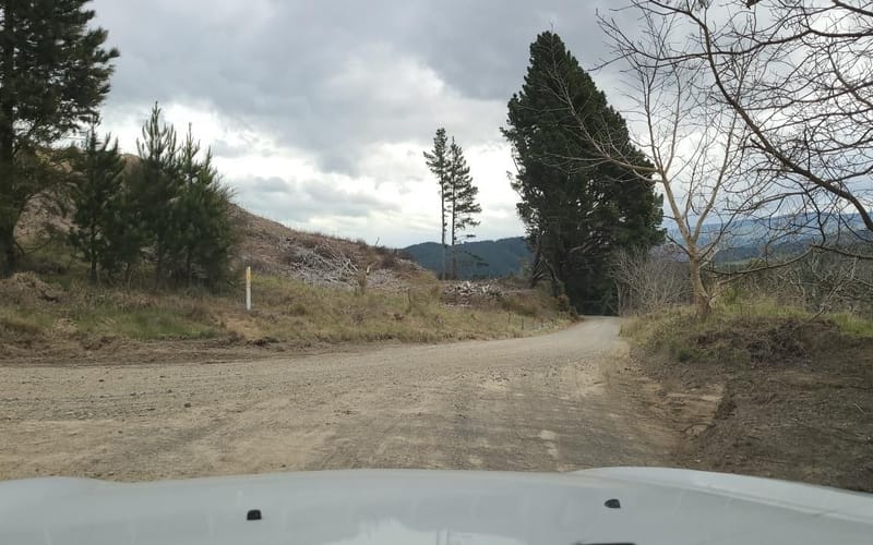 428 Darkys Spur Road
