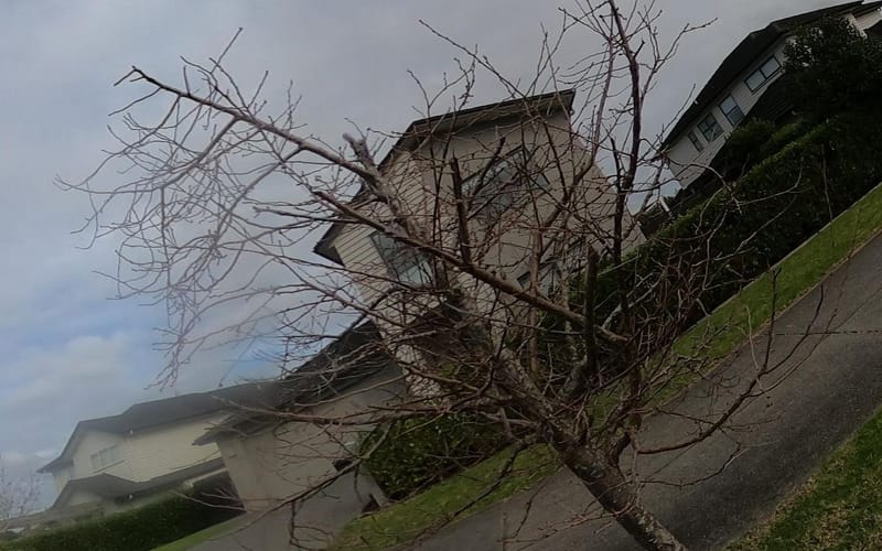 4 Kuhanui Drive
