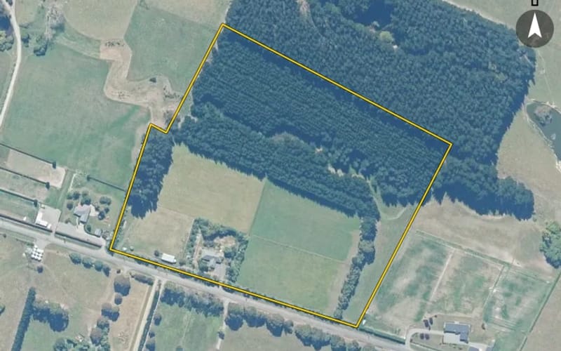 98 Forestry Road